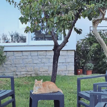 New Vivano Val With Amazing View Apartamento Zambratija (Istria)